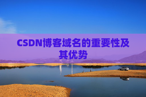 CSDN博客域名的重要性及其优势